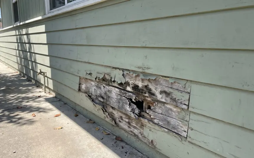 Before: lap siding rotted through near the ground