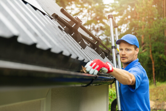 Carlsbad Rain Gutter Cleaning Handyman