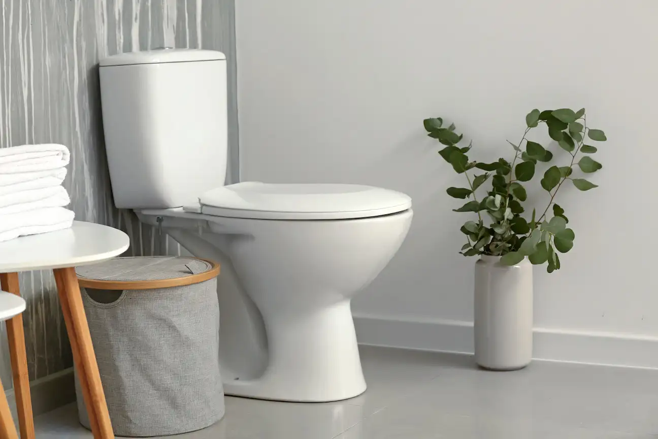 Bathroom Toilet Installation Handyman Service in Atlanta