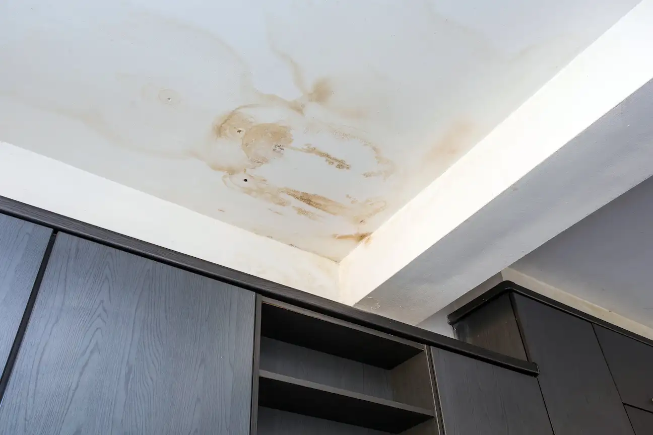 Water Damage Repair and Mold Remediation in Danville