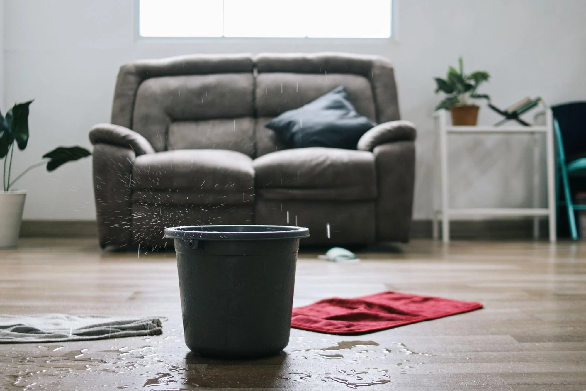 Tips for Preventing and Repairing Water Damage