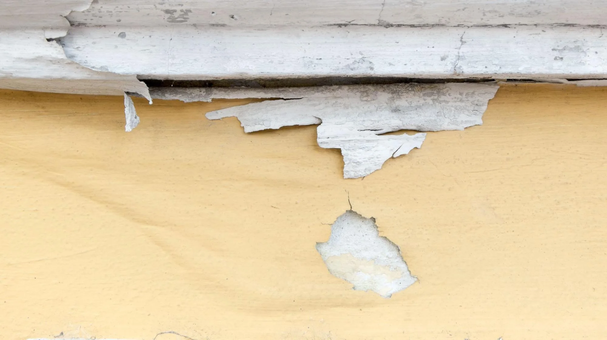 Understanding Lead Paint Hazards