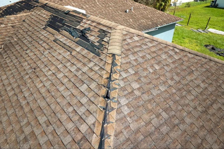 DIY Roof Leak Repair