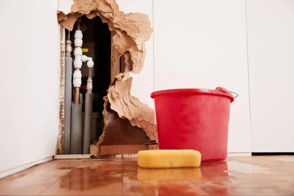 How-to-Diagnose-and-Repair-Pipe-Leaks-in-Your-Home-A-Practical-Guide