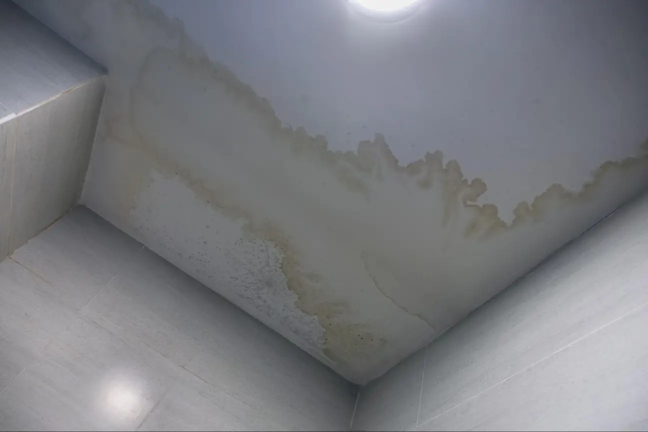 Understanding Ceiling Water Stains