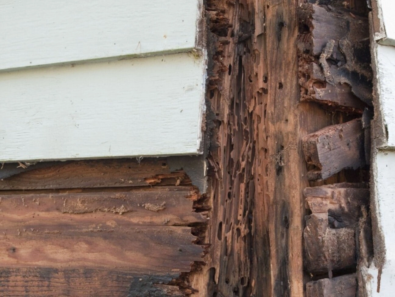 Wake Forest NC Siding Repair and Replacement