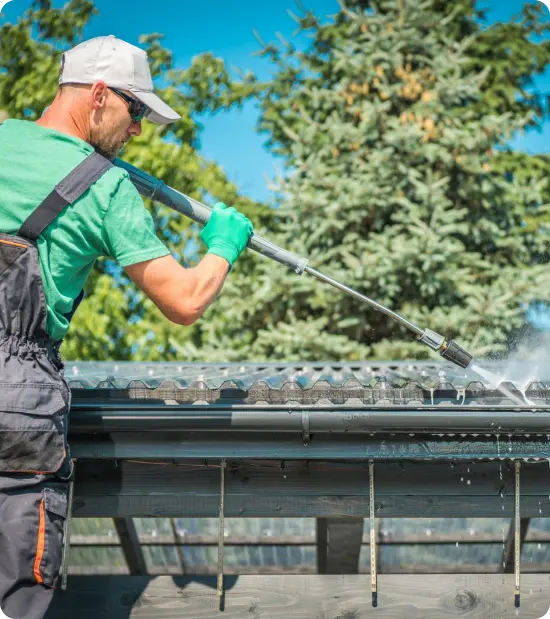 Gutter Cleaning