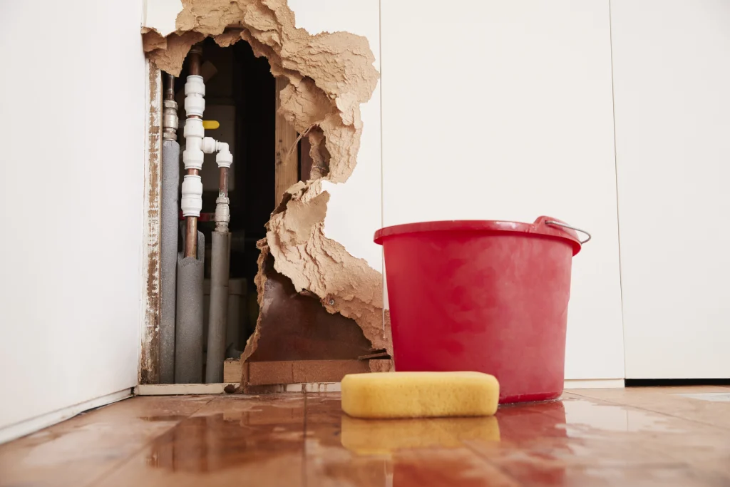 Emergency Leak Detection and Repair