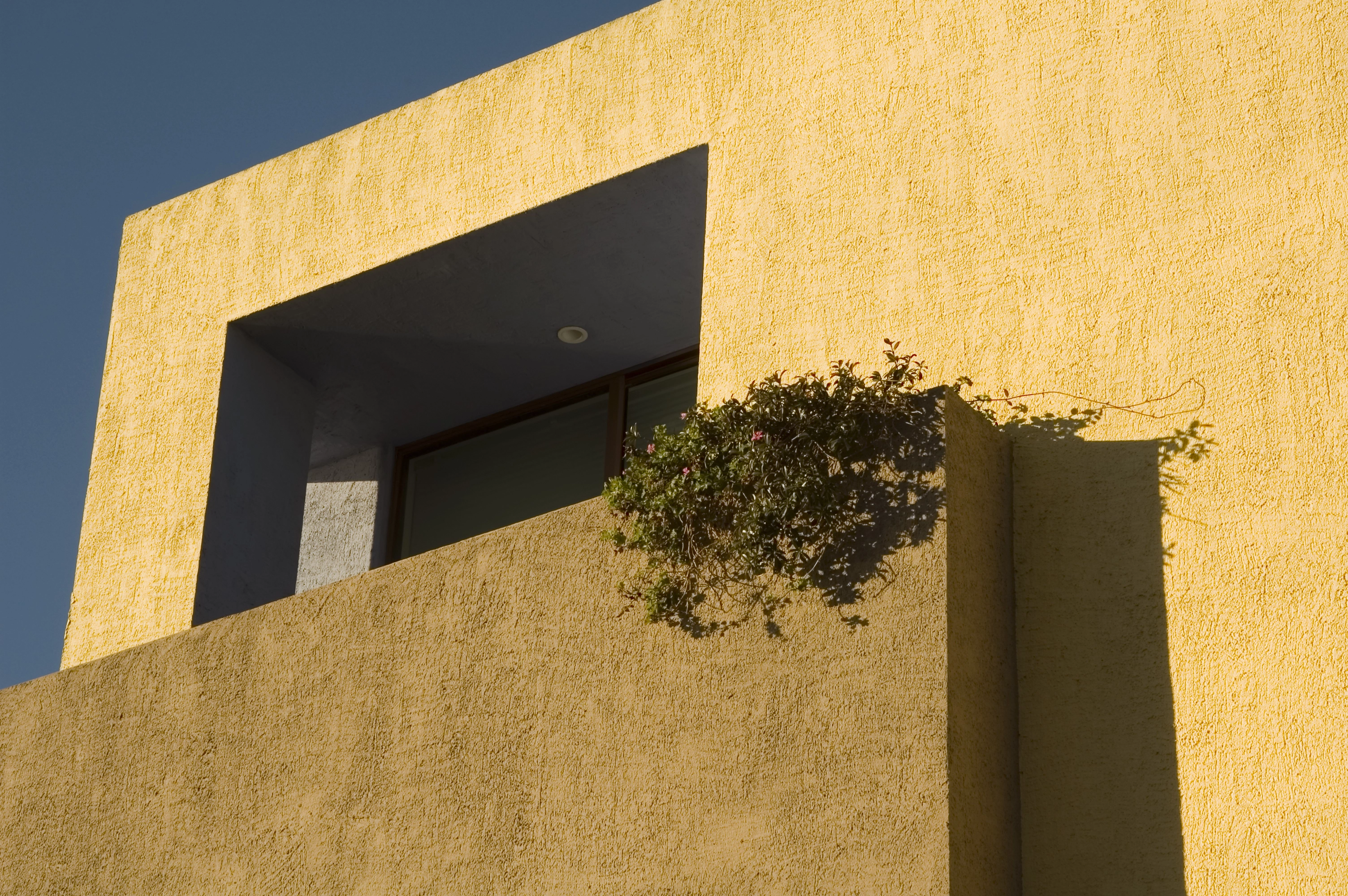 Corner of a stucco house in earth tones with a climbing plant
